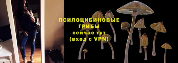 MDMA Дмитриев