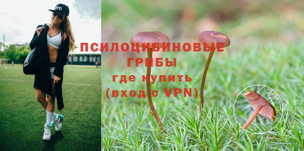 мефедрон Дмитров