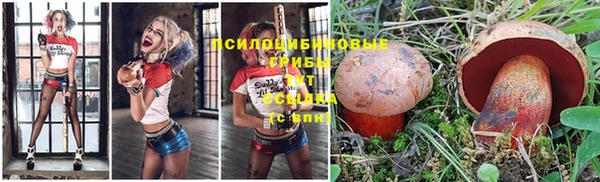 мефедрон Дмитров