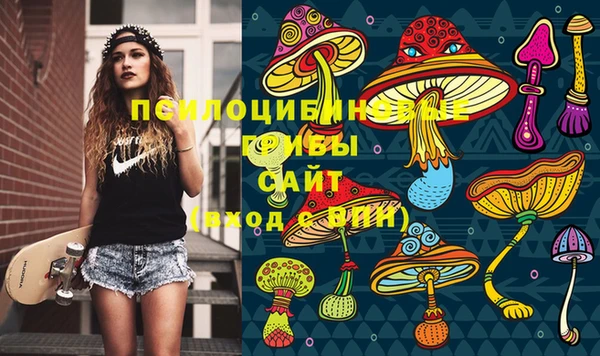 MDMA Дмитриев
