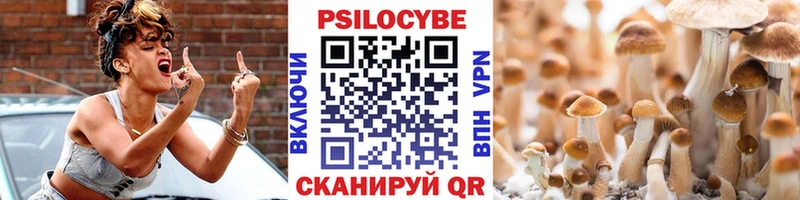 Галлюциногенные грибы Cubensis  Купить  Петухово 